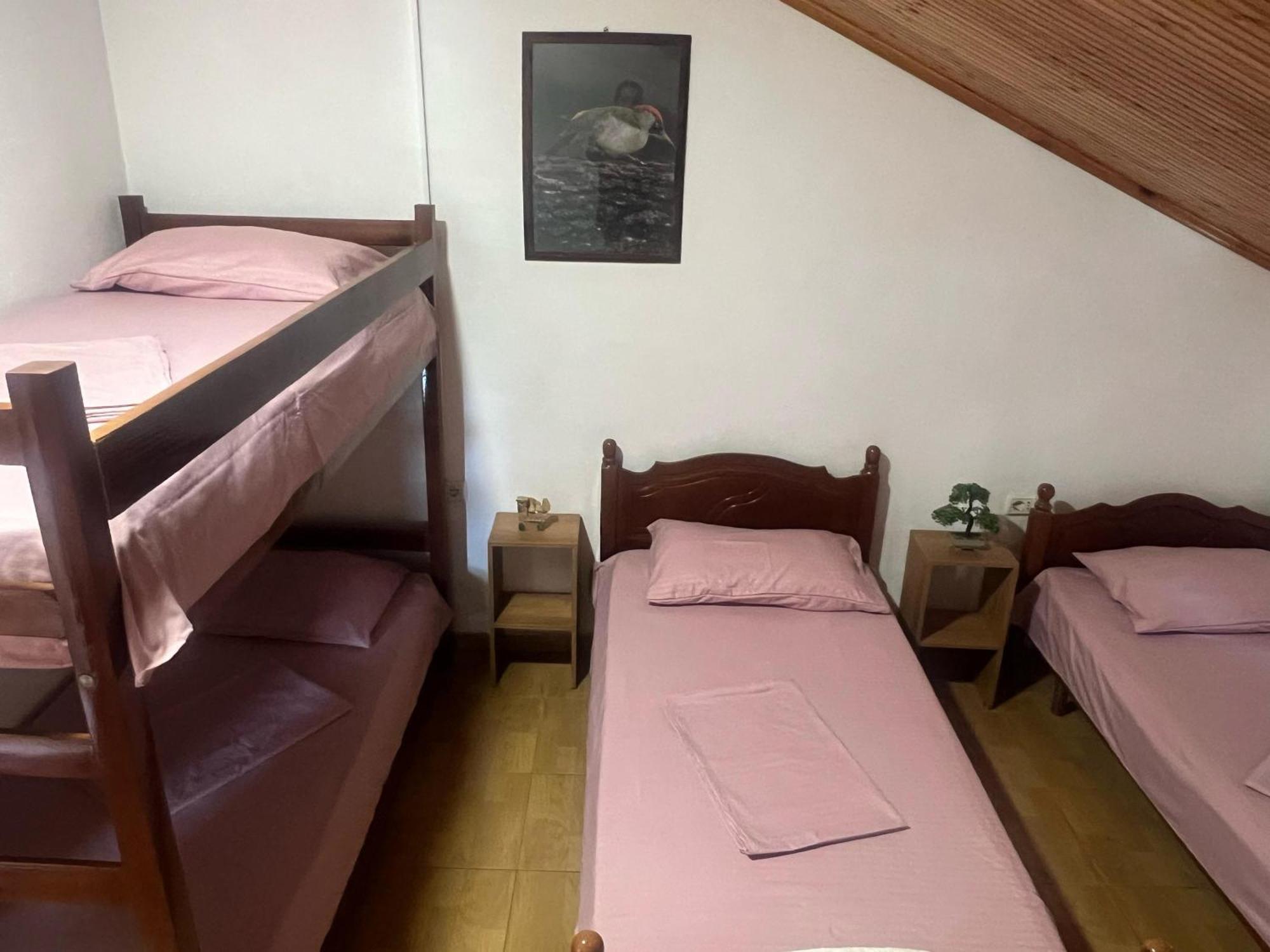 Happy Corner Guest House Shkodër Exterior foto
